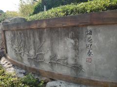 -重庆彩云湖湿地公园