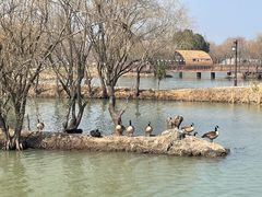 -长兴太湖图影湿地文化园