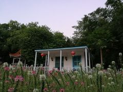 -晓港公园