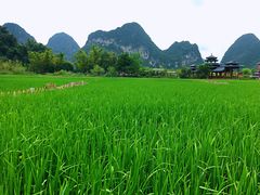 -靖西鹅泉风景区