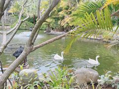 -厦门日月谷温泉渡假村