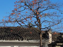 -塔川景区