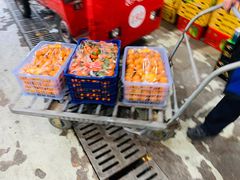 -西郊国际农产品交易中心