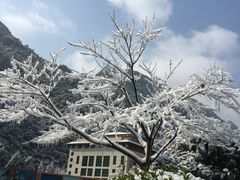 -三清山希尔顿度假酒店