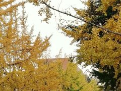 -西南民族大学南区(双流校区)