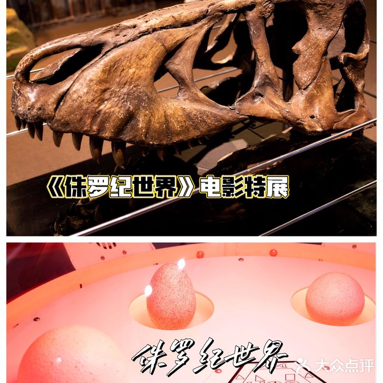 恐龙来啦🦕侏罗纪世界电影特展登陆魔都🦖燃爆了💥