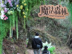 -龙湾潭国家森林公园