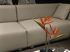 -华夏良子·足道SPA艾灸(王府井店)