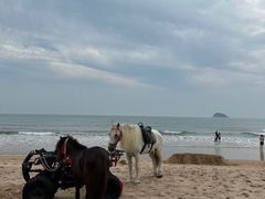 -山海一众流清河沙滩露营地·团建拓展·沙滩烧烤