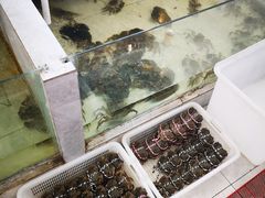 水产区-七的湖·晚芳亭·阳澄湖农家菜·大闸蟹(莲花岛店)