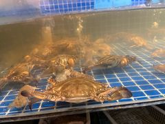 -小时候焗海鲜(鄞州万达店)