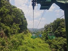 -野象谷景区