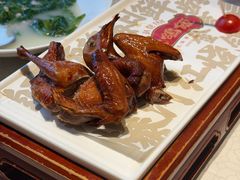 -大鸽饭(岗顶店)