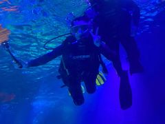 -沈阳海洋探索中心