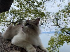 -抚仙湖禄充风景区