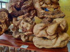 -南宁国际会展中心(会展东博文化旅游区)