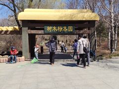 -黑龙江省森林植物园