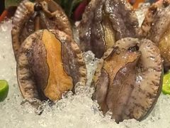 -海月轩海鲜豆捞(紫金塔店)