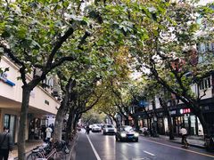 -苹果花园(襄阳南路店)