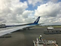 -成都濑川外国语学校