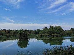 -艾溪湖湿地公园