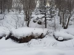 -亚布力新体委滑雪场