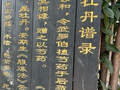 -洛阳市隋唐城遗址植物园