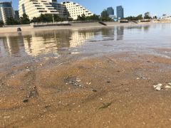 -日照灯塔风景区