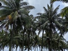 -上海纺织博物馆