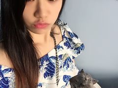 喵的天空-喵的天空名猫咖啡馆·撸猫·猫舍·用品