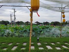 -嘉北郊野公园