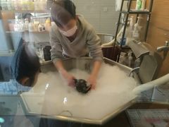 -PETKIT小佩宠物(古北店)