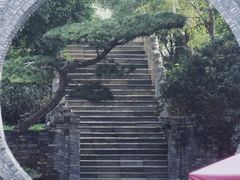 -朴园