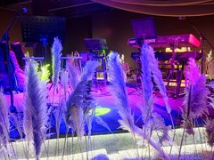 -ohbar live house(人广店)