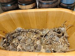 -川骄海鲜自助(亚运村店)