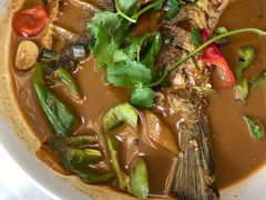 -天乐农家鱼头王(天目湖店)