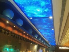 -皇马假日醉海南大酒店·假日一品派茶楼(秀英店)