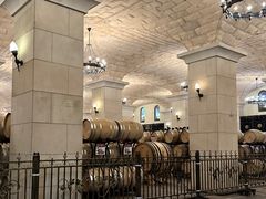-北京张裕爱斐堡酒庄