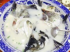-全乐鱼馆·淳牌有机鱼直营店
