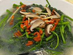 蚝汁西洋菜-蚝家菜馆(沙井店)
