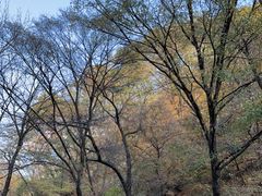 -关门山森林公园