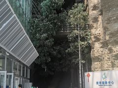 -吉林省自然博物馆