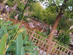 -五缘湾湿地公园