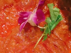 -蜀九香火锅(彩虹店)