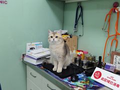 -哆趣宠物医院·眼科·内镜·急重症转诊中心(上海店)