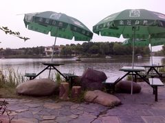 -昆山城市生态森林公园