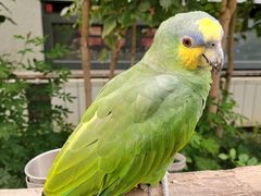 -南宫五洲植物乐园