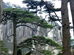 -黄山温泉国际旅游度假区