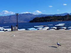 -阳光海岸