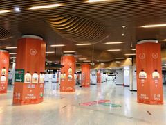 -东方童画少儿美术(莘庄体验馆)